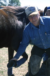 Randy Minger shoeing horses at the Spring Garden Ranch Training Center in De Leon Springs, Florida.