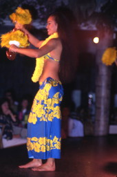 View showing a Polynesian dancer during a performance at Sea World in Orlando, Florida.