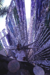 Costumed participant in the Caribbean Carnival parade at the Homestead Racetrack.