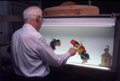 Nicholas Zouves with his puppets - Tarpon Springs, Florida.