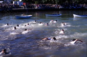 Epiphany cross divers look for the cross - Tarpon Springs, Florida.