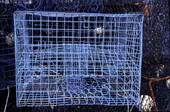 Wire stone crab trap - Everglades City, Florida.