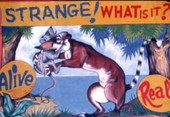 Painted sign for an animal sideshow