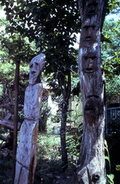Tree sculptures made by Jesse Aaron - Gainesville, Florida.
