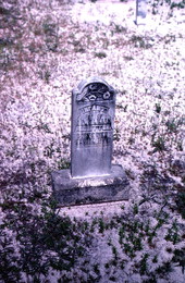Headstone in the cemetery at Bethlehem Primitive Baptist Church - Old Chicora, Florida