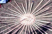 Scene from process of white oak basket making by Lucreaty Clark