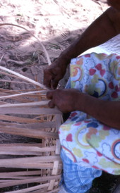 Lucreaty Clark weaving a white oak basket