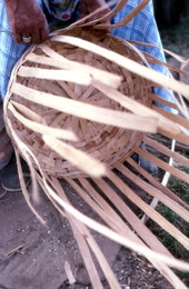 Lucreaty Clark weaving a white oak basket