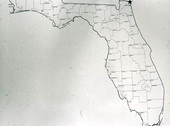 Map marking Fernandina Beach with a star in the upper right hand corner