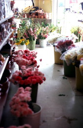 Interior view of a florist shop in Little Havana - Miami, Florida.