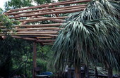 Partially built chickee - Big Cypress Reservation, Florida