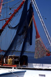 Fish nets aboard the shrimp boat "Capt. Daddy" - Fernandina Beach, Florida
