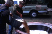 Pouring out sugar cane syrup - Orlando, Florida.