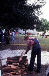 Collecting firewood - Orlando, Florida.