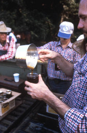 Pouring sugar cane syrup into a jar - Orlando, Florida.