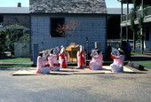 Vietnamese dancers at the Great Gulf Coast Arts Festival - Pensacola, Florida.