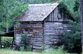 View of tobacco barn on property of Oliver Hunter - White Springs, Florida.