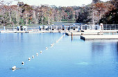 Wakulla Springs - Wakulla Springs, Florida