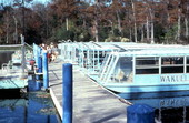 Tour boats at Wakulla Springs - Wakulla Springs, Florida
