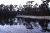 Tour boat at Wakulla Springs - Wakulla Springs, Florida