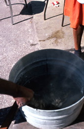 Opossum being dropped into hot water for cleaning - Tampa, Florida.