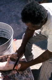 Willie Gillard cutting the head off of the opossum - Tampa, Florida.