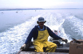 Willie McCain driving out to the crabbing spot - Tampa, Florida.