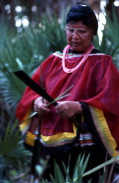 Marian Bowers collecting palmetto stems, which she uses for making baskets - Brighton Seminole Indian Reservation, Florida.
