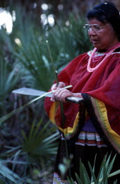 Marian Bowers collecting palmetto stems, which she uses for making baskets - Brighton Seminole Indian Reservation, Florida.