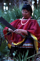 Marian Bowers collecting palmetto stems, which she uses for making baskets - Brighton Seminole Indian Reservation, Florida.