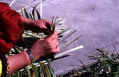 Marian Bowers making a palmetto basket - Brighton Seminole Indian Reservation, Florida.