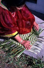 Marian Bowers making a palmetto basket - Brighton Seminole Indian Reservation, Florida.