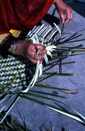Marian Bowers making a palmetto basket - Brighton Seminole Indian Reservation, Florida.