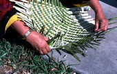 Marian Bowers making a palmetto basket - Brighton Seminole Indian Reservation, Florida.