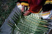 Marian Bowers making a palmetto basket - Brighton Seminole Indian Reservation, Florida.