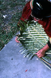 Marian Bowers making a palmetto basket - Brighton Seminole Indian Reservation, Florida.