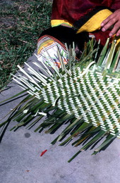 Marian Bowers making a palmetto basket - Brighton Seminole Indian Reservation, Florida.