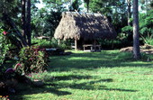 Seminole chickee - Immokalee, Florida