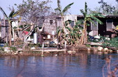 Chickees and dwellings along the Tamiami Trail - Miccosukee Reservation, Florida