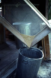 S.M. Blackman pouring corn into a trash can - McAlpin, Florida