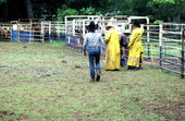 Cowboys at the Florida Folk Festival - White Springs, Florida