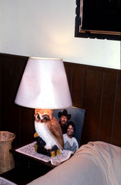 Owl lamp and family photo at the house of Maria Castillos - Pierson, Florida.