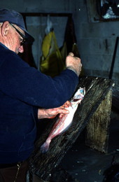Jerome Schmidt cleaning flounder - Palatka, Florida.