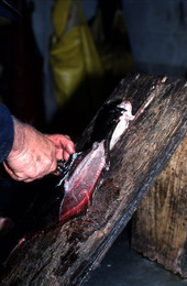 Jerome Schmidt filleting flounder - Palatka, Florida.