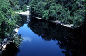 Suwannee River at White Springs - White Springs, Florida