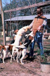 L.A. Edenfield and his hunting dogs - White Springs, Florida
