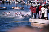 Boys competing in contest to retrieve an epiphany cross - Tarpon Springs, Florida