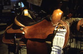Saddle made at Cauley's Saddle Shop - Lakeland, Florida