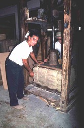 Packing sponges at Arrellano Brothers Sponge Distributors - Miami, Florida.