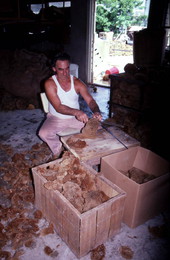 Worker cutting sponges - Miami, Florida.